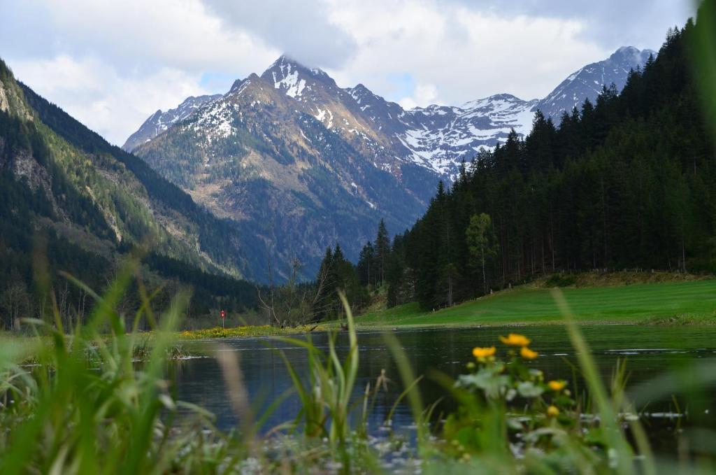 Gasthof Tetter Schladming Buitenkant foto