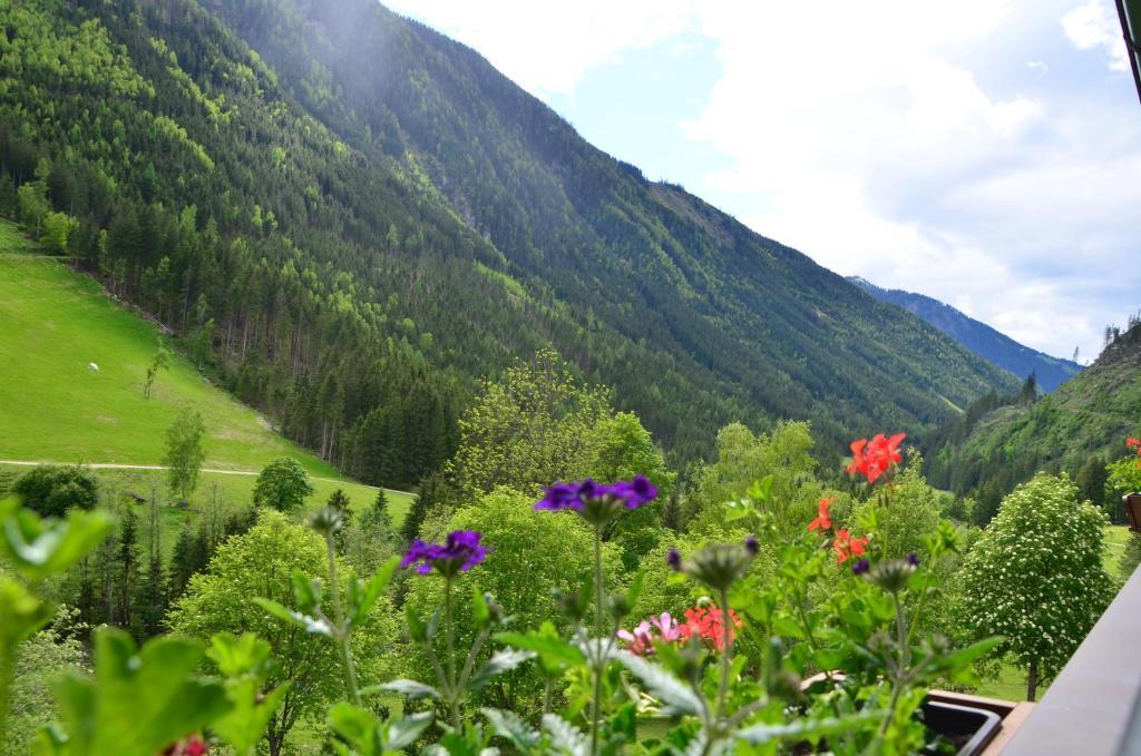 Gasthof Tetter Schladming Kamer foto